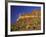 Organ Pipe Forest with Saguaro, Organ Pipe Cactus National Monument, Arizona, USA-Jamie & Judy Wild-Framed Photographic Print