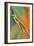 Organic Abstract Orange And Olive Green-Cora Niele-Framed Giclee Print