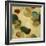 Organic Beauty III-Randy Hibberd-Framed Art Print