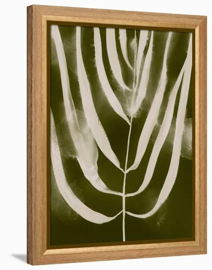 Organic Bloom III-Victoria Barnes-Framed Stretched Canvas