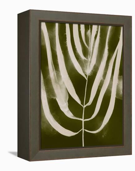 Organic Bloom III-Victoria Barnes-Framed Stretched Canvas