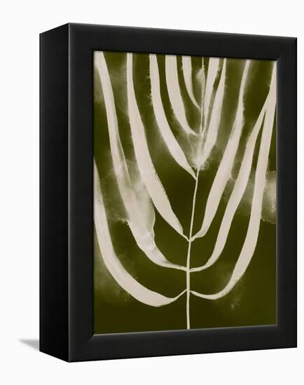 Organic Bloom III-Victoria Barnes-Framed Stretched Canvas
