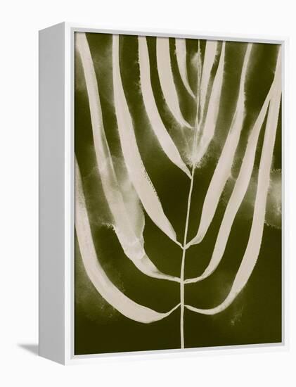 Organic Bloom III-Victoria Barnes-Framed Stretched Canvas