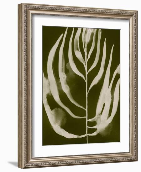 Organic Bloom IV-Victoria Barnes-Framed Art Print