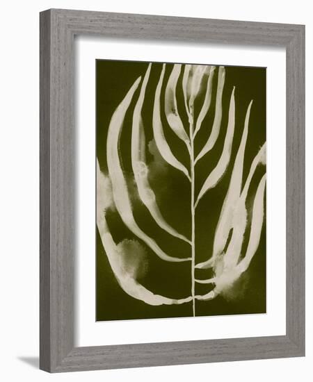 Organic Bloom IV-Victoria Barnes-Framed Art Print