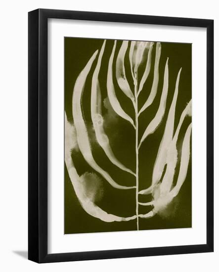 Organic Bloom IV-Victoria Barnes-Framed Art Print