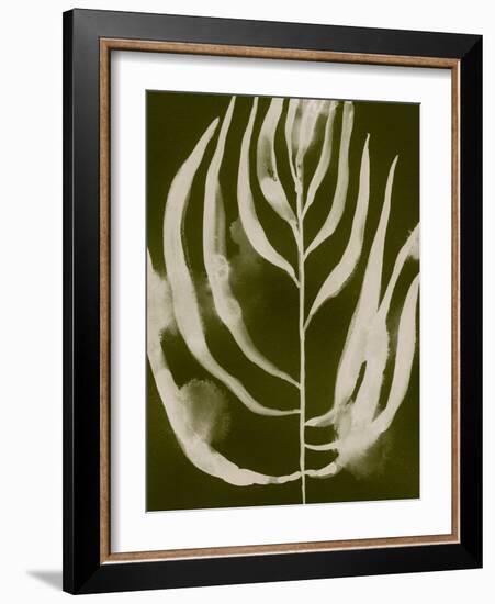 Organic Bloom IV-Victoria Barnes-Framed Art Print