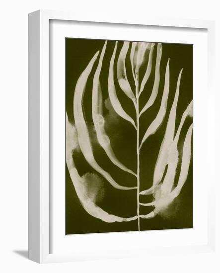 Organic Bloom IV-Victoria Barnes-Framed Art Print