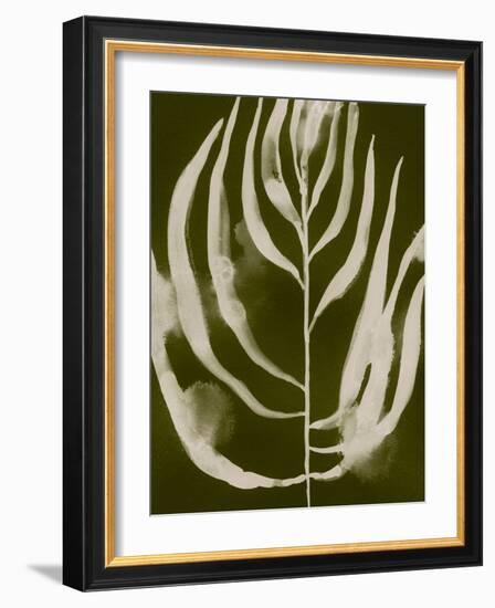 Organic Bloom IV-Victoria Barnes-Framed Art Print