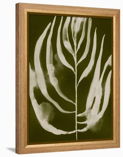 Organic Bloom IV-Victoria Barnes-Framed Stretched Canvas