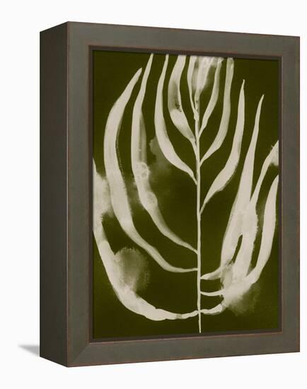 Organic Bloom IV-Victoria Barnes-Framed Stretched Canvas