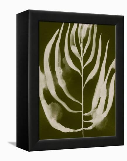 Organic Bloom IV-Victoria Barnes-Framed Stretched Canvas