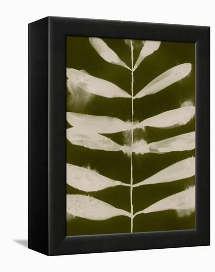 Organic Bloom VI-Victoria Barnes-Framed Stretched Canvas