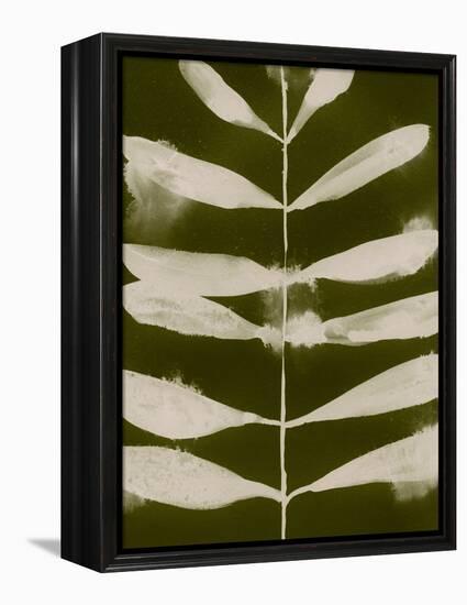 Organic Bloom VI-Victoria Barnes-Framed Stretched Canvas