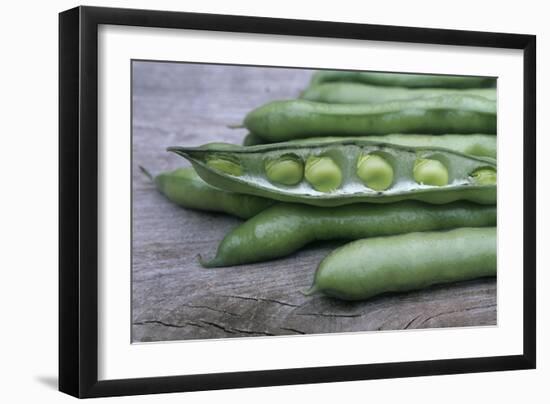 Organic Broad Beans (Vicia Faba)-Maxine Adcock-Framed Photographic Print