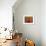 Organic Coffee-Jason Giacopelli-Framed Premium Giclee Print displayed on a wall