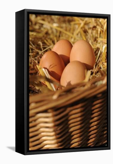 Organic, Eggs-null-Framed Stretched Canvas