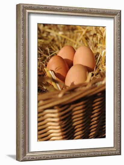 Organic, Eggs-null-Framed Photo