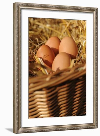 Organic, Eggs-null-Framed Photo