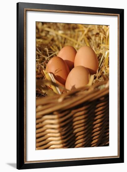 Organic, Eggs-null-Framed Photo