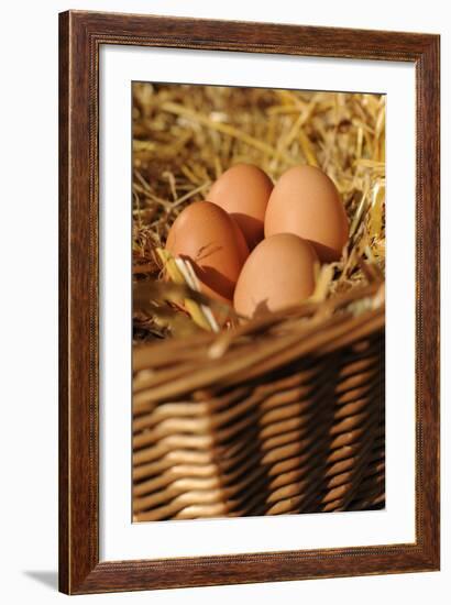 Organic, Eggs-null-Framed Photo