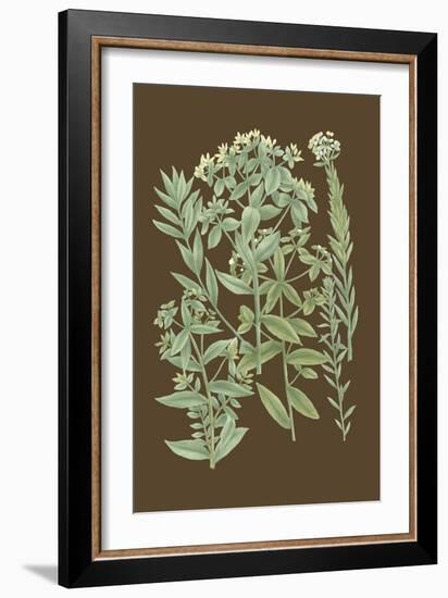 Organic Greenery I-Johann Wilhelm Weinmann-Framed Art Print