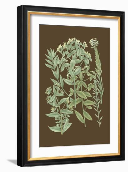 Organic Greenery I-Johann Wilhelm Weinmann-Framed Art Print