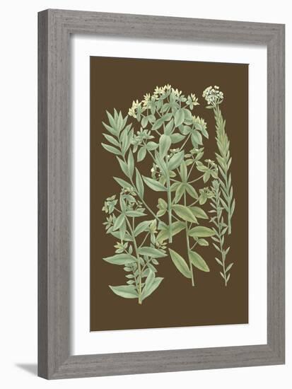 Organic Greenery I-Johann Wilhelm Weinmann-Framed Art Print