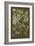 Organic Greenery II-Johann Wilhelm Weinmann-Framed Art Print