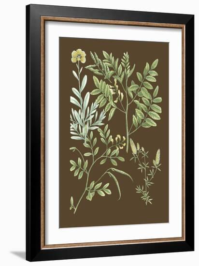 Organic Greenery II-Johann Wilhelm Weinmann-Framed Art Print