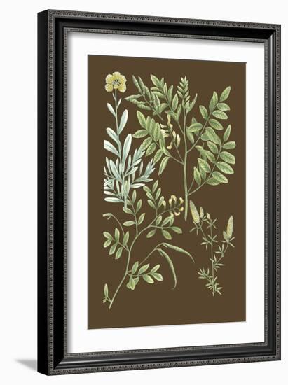 Organic Greenery II-Johann Wilhelm Weinmann-Framed Art Print