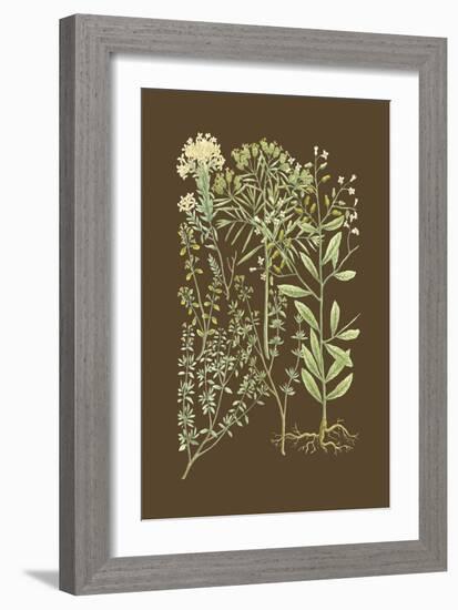 Organic Greenery III-Johann Wilhelm Weinmann-Framed Art Print