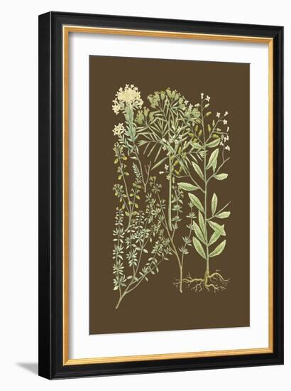 Organic Greenery III-Johann Wilhelm Weinmann-Framed Art Print