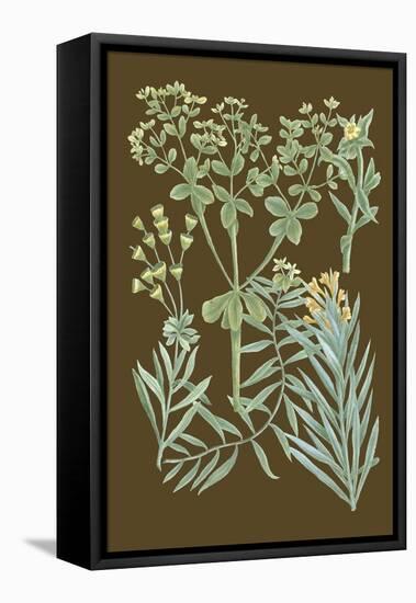 Organic Greenery IV-Johann Wilhelm Weinmann-Framed Stretched Canvas