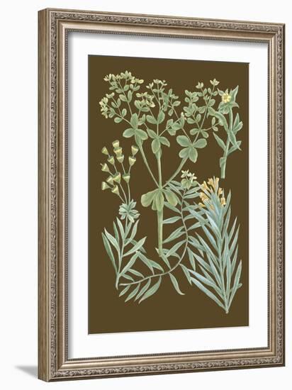 Organic Greenery IV-Johann Wilhelm Weinmann-Framed Art Print