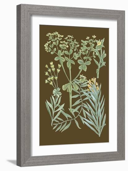 Organic Greenery IV-Johann Wilhelm Weinmann-Framed Art Print