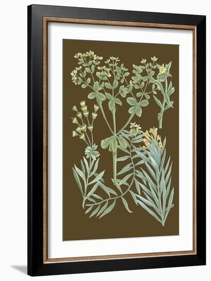 Organic Greenery IV-Johann Wilhelm Weinmann-Framed Art Print