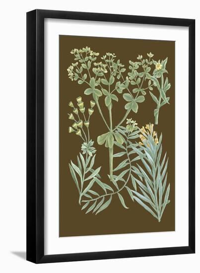 Organic Greenery IV-Johann Wilhelm Weinmann-Framed Art Print