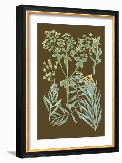 Organic Greenery IV-Johann Wilhelm Weinmann-Framed Art Print