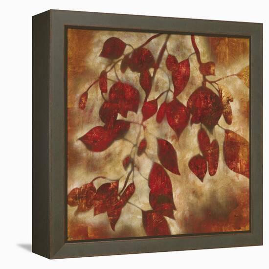 Organic Harmony I-Randy Hibberd-Framed Stretched Canvas