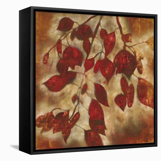 Organic Harmony I-Randy Hibberd-Framed Stretched Canvas