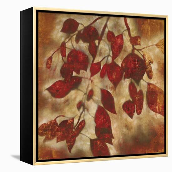 Organic Harmony I-Randy Hibberd-Framed Stretched Canvas