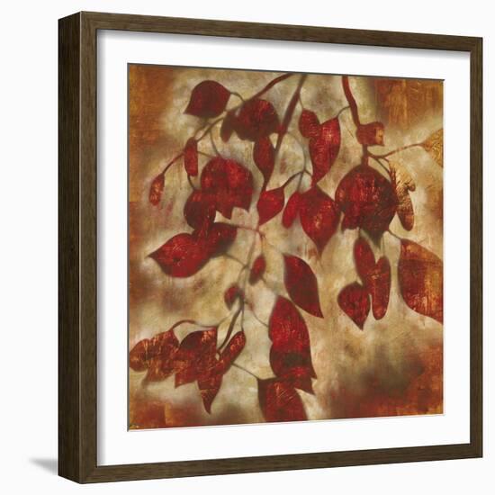 Organic Harmony I-Randy Hibberd-Framed Art Print