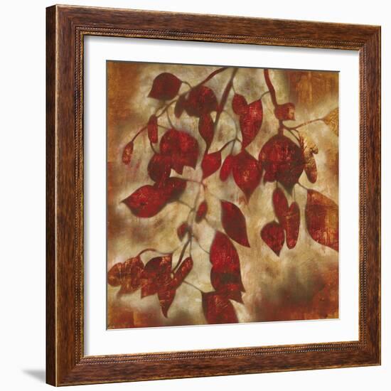 Organic Harmony I-Randy Hibberd-Framed Art Print