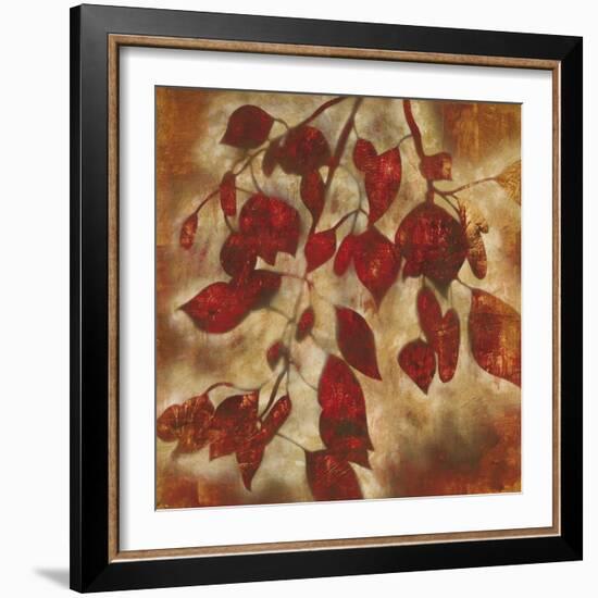 Organic Harmony I-Randy Hibberd-Framed Art Print