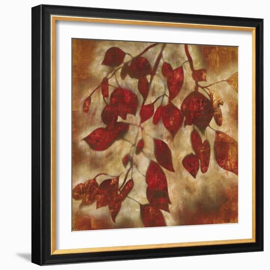 Organic Harmony I-Randy Hibberd-Framed Art Print