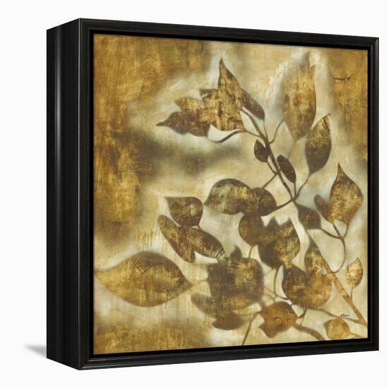 Organic Harmony II-Randy Hibberd-Framed Stretched Canvas