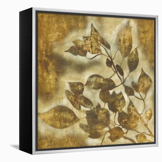 Organic Harmony II-Randy Hibberd-Framed Stretched Canvas