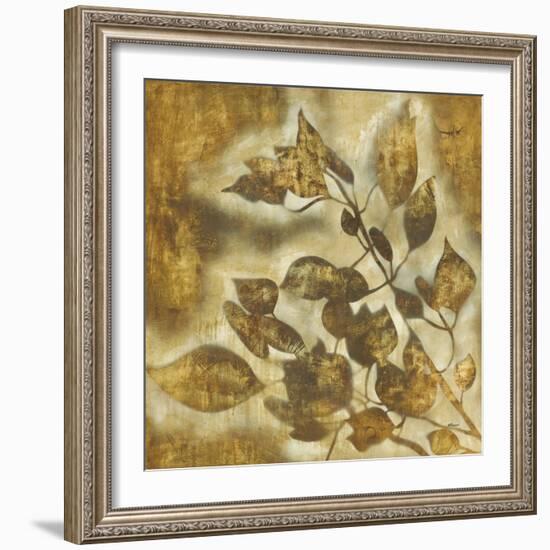 Organic Harmony II-Randy Hibberd-Framed Art Print