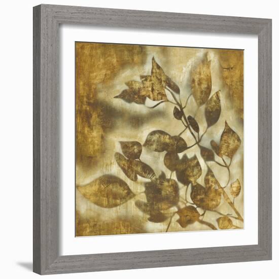 Organic Harmony II-Randy Hibberd-Framed Art Print